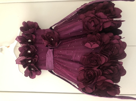 Picture of Birthday frock