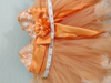 Picture of New little girl orange dress