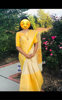 Picture of Cream and yellow saree