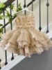 Picture of Combo of kids party wear frocks 2-3y