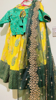 Picture of Brand new designer organza lehenga with can can