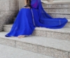 Picture of Blue Plain saree with Pink Blouse and Embroidered Blouse