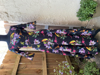 Picture of Brand new Viscose georgette long frock