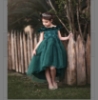 Picture of emerald green princess frock 4y