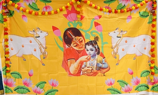 Picture of Beautiful Annaprasana  Krishna theme backdrop