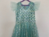 Picture of Long party wear dress 10-11Y