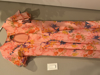 Picture of Floral Georgette dress