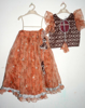 Picture of Netted heavy flare frock &Organza crop top  Combo 4-6Y