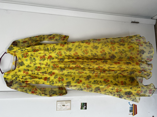 Picture of Methi green Floral Organza long frock