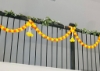 Picture of 24 Marigold flower strings