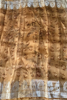 Picture of Brand new floral organza saree with silver jari border.