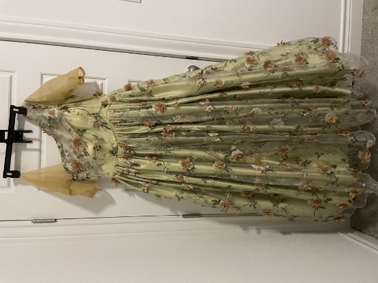 Picture of Pista Green Floral long dress