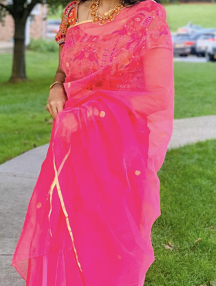 Picture of Baby pink netted saree