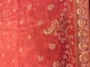 Picture of Gorgeous English pink party wear saree with peacock work allover