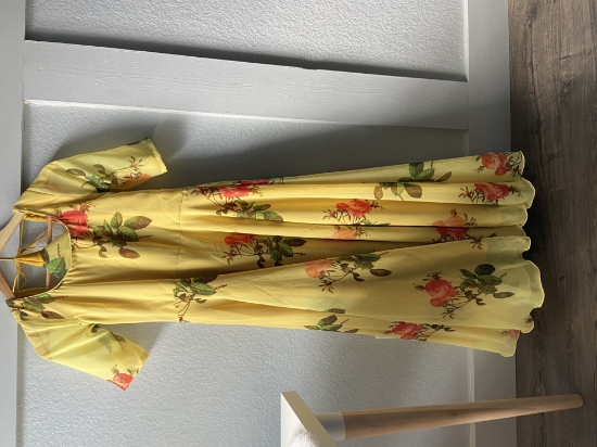 Picture of Long maxi Dress with full flare