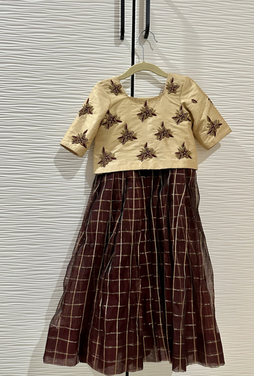 Picture of Tissue Brown lehanga with Embroidered blouse 2-4y