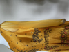 Picture of NEW* Rithika Floral Anarkali in bright yellow