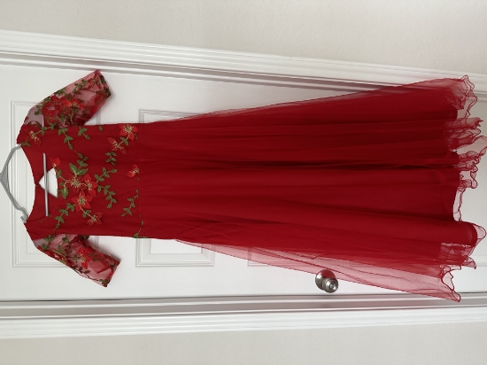 Picture of Red netted long frock