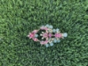 Picture of Kundan earrings with pumpkin beads