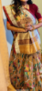 Picture of Soft silk paithani saree with  2 blouses-chaniyacholi deep cut designer styled blouse