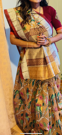 Picture of Soft silk paithani saree with  chaniyacholi deep cut designer styled blouse