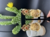Picture of combo of Kundan Jhumka, Color Changing Stud