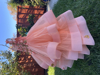 Picture of Princess Birthday Dress - 2-3Y