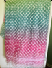 Picture of New Multicolor pastel net  Korean material ruffle saree