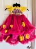 Picture of Party dress (1Y-2Y)