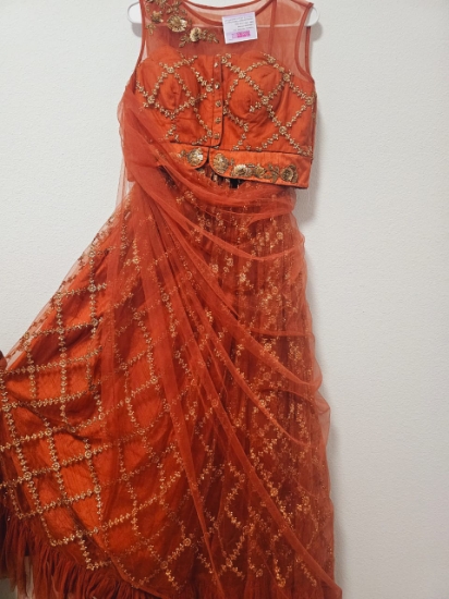 Picture of PL496 new rust colour lehenga