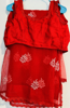 Picture of Red netted embroidery saree