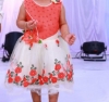 Picture of Party Wear Frocks combo 2-3y