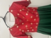 Picture of Green raw silk long dress