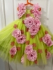 Picture of PL571 Floracent green long tule dress with 3d ink flowers 5-6y