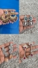 Picture of Beautiful Earrings combo