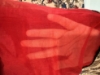 Picture of Sarees combo