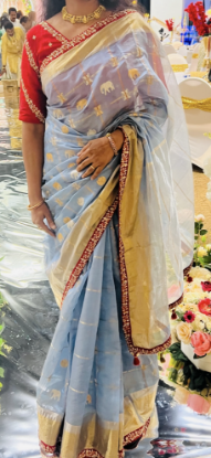 Picture of Pure Chanderi Tissue Pattu saree with Maggam Work Blouse