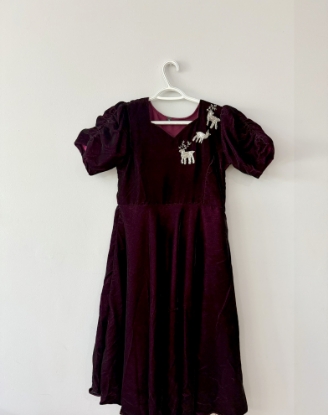 Picture of Trending !! Soft velvet dress