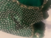 Picture of Pure Desi Tussar Parsi Embroidery Saree with Bridal zardosi work blouse 