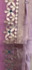 Picture of Pure Kota Doria Gota Patti work saree with  metallic thread work blouse 