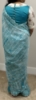 Picture of Light blue organza saree 