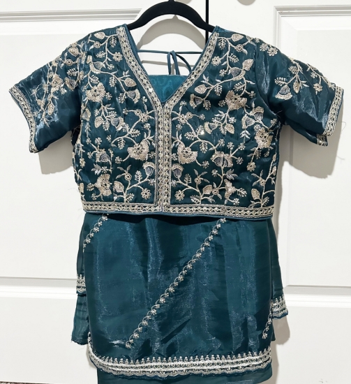 Picture of Blue organza saree with embroidery 