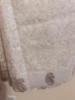Picture of Classy All over Chikankari on Soft Pure Organza 