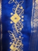 Picture of Hand Embroidered Gap Border Handloom Kanchi pattu saree  