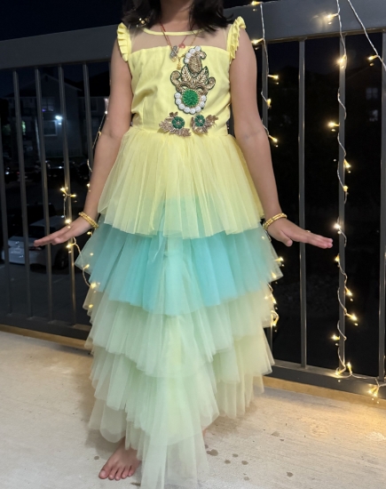 Picture of Ombre netted long frock 5-6y