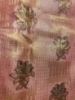 Picture of Pallaki (Palaquin) Border Handloom Kanchi pattu saree 