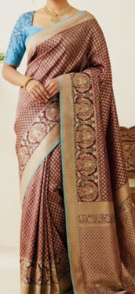 Picture of All over Meenakari Handloom kanchi pattu saree with hand painted blouse 