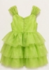 Picture of Lime Green Ruffle Flower Dress 2-3y