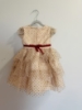 Picture of Beautiful dresses combo(2-3Y)