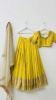 Picture of Pattu Lehenga with tissue dupatta